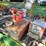 #8000-•-live-on-the-ground-only-items-image-29