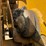 2017-caterpillar-988k-image-22