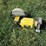 #50117-•-wet/dry-grinder-2207181431109-inv#50117-image-2