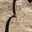 3-pt-cultivator-image-12