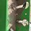 john-deere-1760-image-11