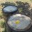 #50193-•-lot-of-(2)-whisky-barrels-inv#50193-image-3