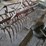 #8722-•-3pt-spring-tooth-drag-image-9