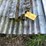 #1632-•-pallet-of-corrugated-steel-image-4