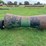 swath-roller-image-5