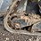 2019-bobcat-mt85-image-18