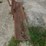 massey-ferguson-back-blade-image-5