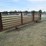 #44945-•-lot-of-(5)-24'-cattle-panels-inv#44945-image-2