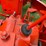 #1003-•-allis-chalmers-ib-tractor-image-18