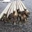 round-wooden-fence-posts-8'l-image-5