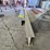 #8758-•-2---steel-i-beams-image-3