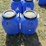 #50147-•-lot-of-(2)-jugs-w/lids-inv#50147-image-2