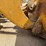 2010-caterpillar-980h-image-12