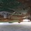 2013-john-deere-d130-image-19