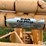 for-most-calf-working-chute-image-19