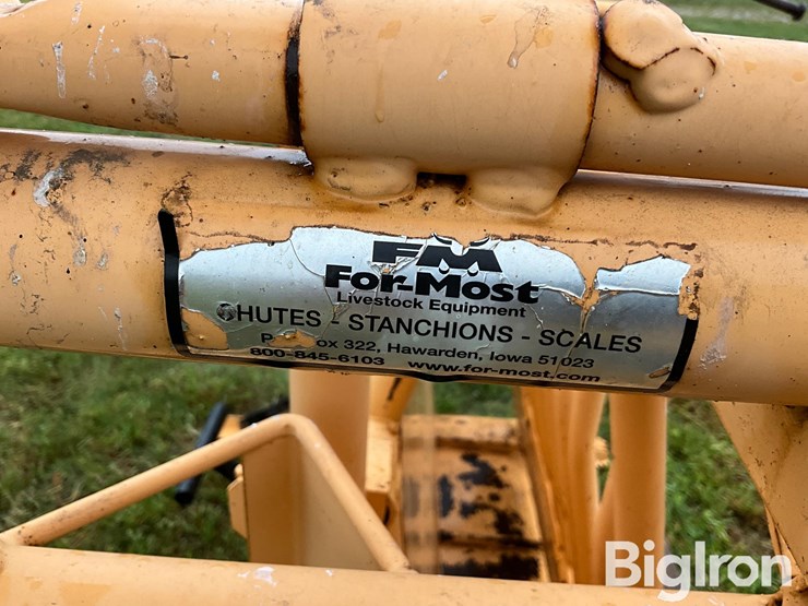 for-most-calf-working-chute-image-19