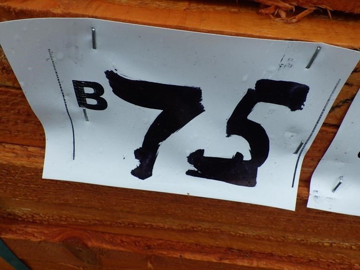 rerun-2"x4"x20'-image-6