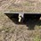 #1615-•-skid-steer-mount-receiver-hitch-attachment-image-2