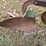 #25270-•-ferguson-2-bottom-plow-image-10