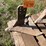 #1622-•-chisel-plow-replacement-parts-image-3