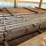 #1666-•-bundle-of-pine-boards-image-1