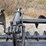 #25298-•-skid-steer-grapple-attachment-image-12