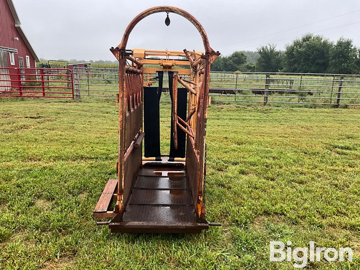 for-most-cattle-working-chute-image-6