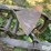 john-deere-2-image-13