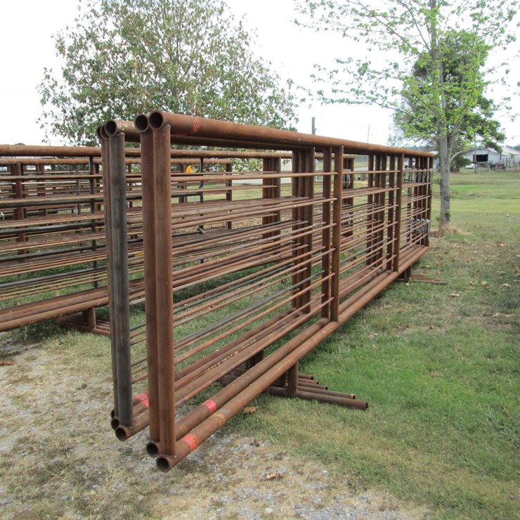 #44946 • Lot of (5) 24' Cattle Panels INV#44946