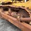 caterpillar-d9h-image-12