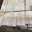 #1672-•-bundle-of-white-ash-boards-image-5