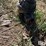 rhino-3-pt-post-hole-digger-image-12
