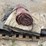 vinyl-roll-tarp-image-4