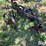 john-deere-2-image-7