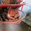 #8768-•-rear-tine-garden-tiller-image-13