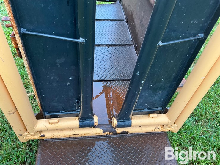 for-most-cattle-working-chute-image-9