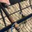 dump-rake-image-9
