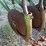 deere-tires-image-16