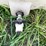 #1634-•-125-gallon-poly-tank-image-6