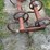 spring-devil-cultivator-image-18