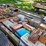 #8000-•-live-on-the-ground-only-items-image-7