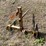 #1617-•-king-kutter-3-point-mount-bail-speer-image-4