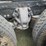2006-peterbilt-379-image-12