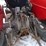 1989-massey-ferguson-231-image-13