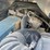 #44764-•-2009-freightliner-coronada-sleeper-s/a-truck-tractor-1fvxfb0099dad1670-inv#44764-image-43