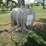 #46120-•-tank-works-130gal-poly-tank-w/-stand-inv#46120-image-1