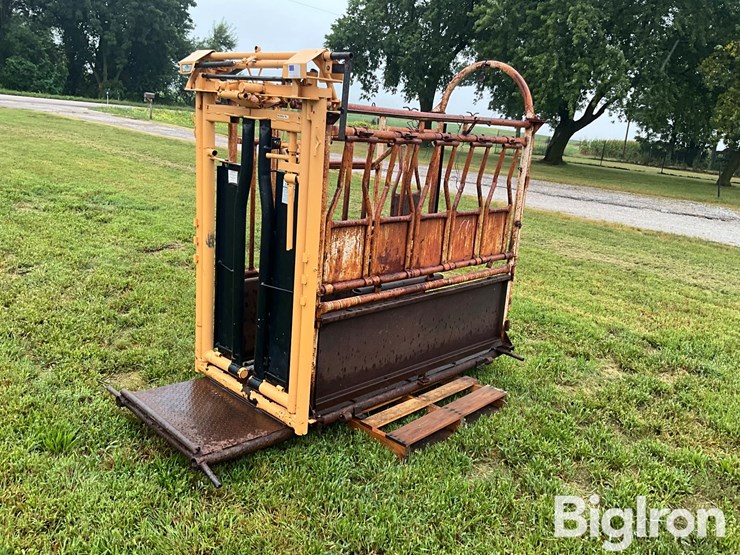 for-most-cattle-working-chute-image-1