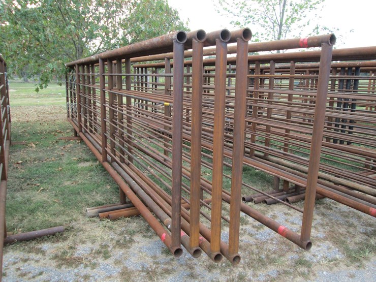 #46123-•-lot-of-(5)-24'-cattle-panels-inv#46123-image-2