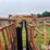 for-most-cattle-working-chute-image-17