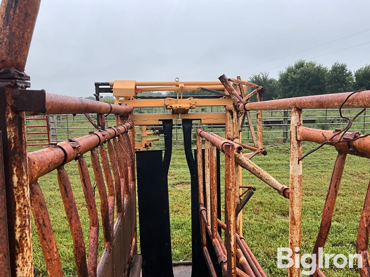 for-most-cattle-working-chute-image-17